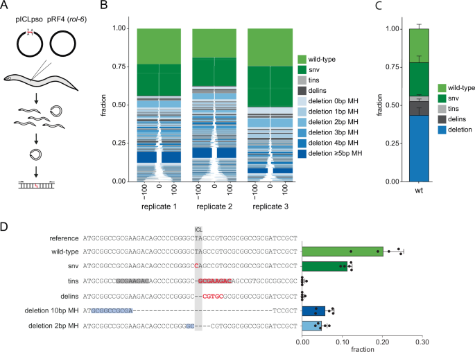 FAN1-mediated translesion synthesis and POLQ/HELQ-mediated end joining generate interstrand crosslink-induced mutations