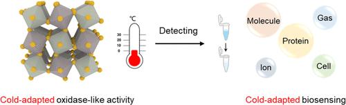 Engineering Perovskite Hydroxide as a Cold-Adapted Oxidase Mimic for Construction of the Robust Low-Temperature Adaptive Biosensors
