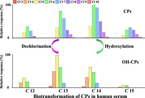 Identification of Hydroxylated Chlorinated Paraffins in Human Serum and Their Potential Metabolic Pathways