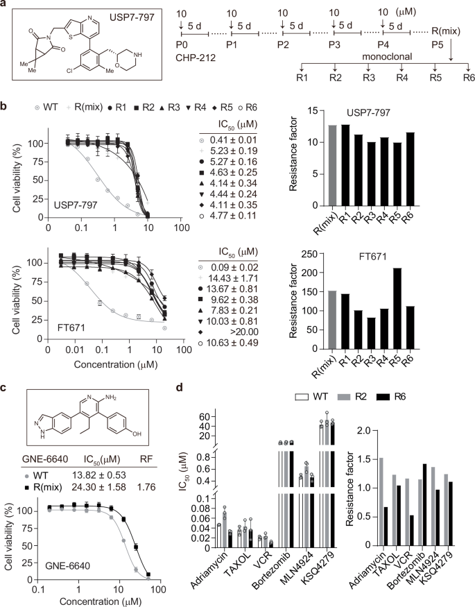 USP7 V517F mutation as a mechanism of inhibitor resistance