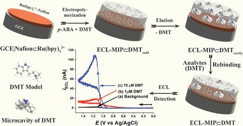 Electrogenerated Chemiluminescence Coupled with Molecularly Imprinted Polymer for Sensitive and Selective Detection of N,N-Dimethyltryptamine