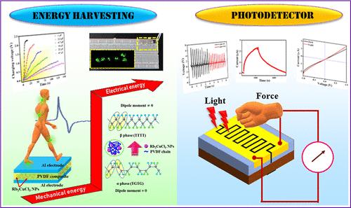 Multifunctional Lead-Free Halide Perovskite Based Poly(vinylidene fluoride) Composites for Biomechanical Energy Harvesting and Self-Powered Piezo-Optoelectronic Applications