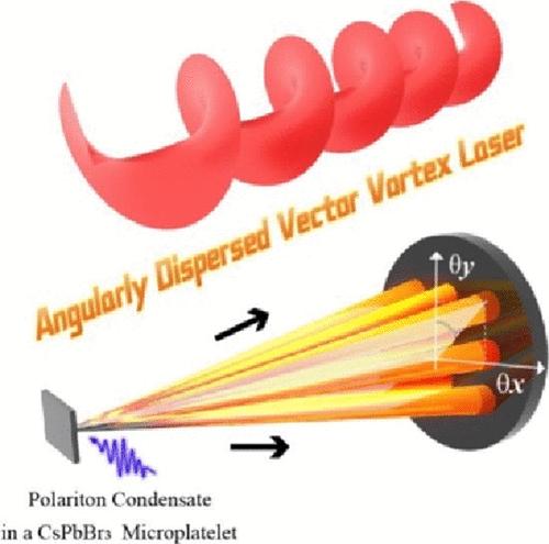 Angularly Dispersed Vector Vortex Laser Generated by Exciton-Polariton Condensate in a Perovskite Microplatelet