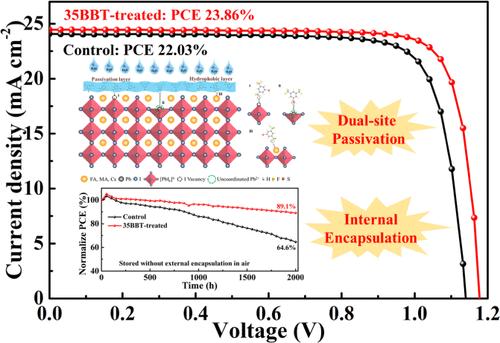 Dual-Site Passivation Coupling Internal Encapsulation via 3,5-Bis(trifluoromethyl)benzenethiol for Efficient and Stable Perovskite Solar Cells
