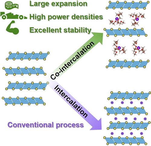 Solvent Co-Intercalation Reactions for Batteries and Beyond