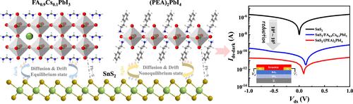 Lead-Based Perovskites Significantly Suppress Dark Currents toward High-Performance Multilayer SnS2/Perovskite Photodetectors