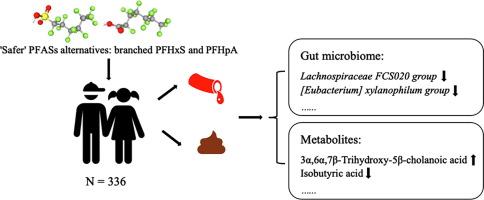 Branched perfluorohexanesulfonic acid (PFHxS) and perfluoroheptanoic acid (PFHpA): ’Safer’ per- and polyfluoroalkyl substances (PFASs) alternatives for their effects on gut microbiota and metabolic function in children