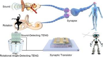 Self-powered multisensory neuromorphic device with auditory and rotational perception integration inspired by the labyrinth of the inner ear