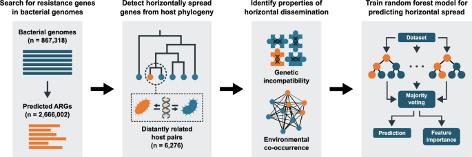Genetic compatibility and ecological connectivity drive the dissemination of antibiotic resistance genes