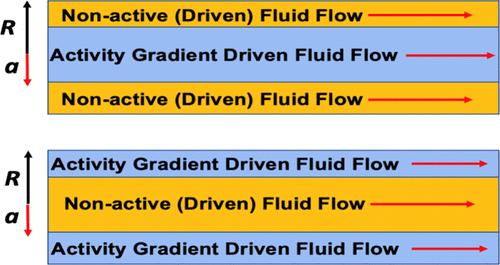Nanocapillary Core-Annular Flows of Immiscible Active and Non-Active Liquids Trigger External-Drive-Free Nanofluidic Liquid Transport