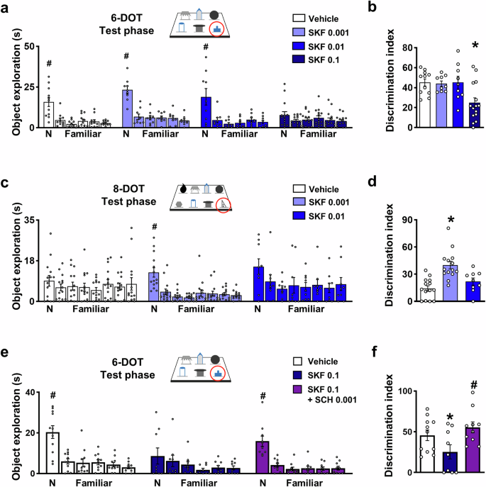 Cortico-striatal circuit mechanisms drive the effects of D1 dopamine agonists on memory capacity in mice through cAMP/PKA signalling