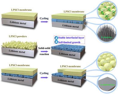 Self-Limiting Reaction of Solid Electrolyte Empowering Ultralong Lifespan All-Solid-State Lithium Metal Batteries with Li6PS5Cl-Based Electrolyte Membrane