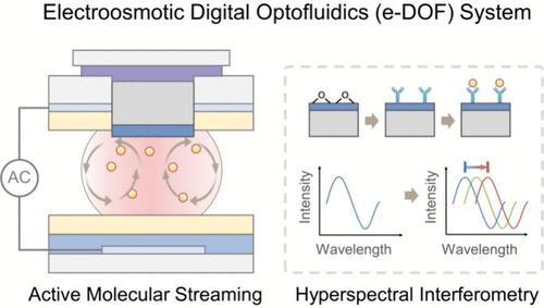 Automated Electroosmotic Digital Optofluidics for Rapid and Label-Free Protein Detection