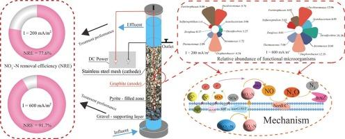 Microbial mutualisms explain the influencing mechanism of current density on the performance of a sole pyrite-based electrochemical bioreactor during the stable phase