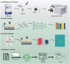 SERS-ATB: A comprehensive database server for antibiotic SERS spectral visualization and deep-learning identification
