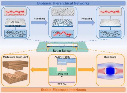 Synergistic Structural Construction of Strain Sensors with Low Baseline Drift and High Sensitivity for Continuous Dynamic Monitoring