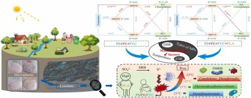 Effect of microplastics on sulfate reduction in landfill leachate-saturated zone