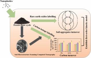 Mechanism of nanoplastics altering soil carbon turnover under freeze-thaw cycle