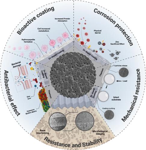 Zinc-Doped Antibacterial Coating as a Single Approach to Unlock Multifunctional and Highly Resistant Titanium Implant Surfaces