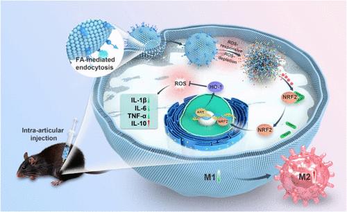 Reprogramming Macrophage Phenotype Using a Reactive Oxygen Species-Responsive Liposome Delivery System for Inflammation Microenvironment Remodeling and Osteoarthritis Treatment