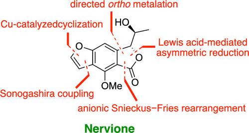 Asymmetric Total Synthesis and Structural Reassignment of Nervione