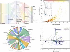 Global Distribution Characteristics and Ecological Risk Assessment of Microplastics in Aquatic Organisms Based on Meta-Analysis