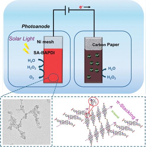 Self-Assembled Perylenediimide Nanoaggregates with an Alternate Stringlike Morphology as Photoanodes to Enhance the H2O2 Photoelectrochemical Cell Performance
