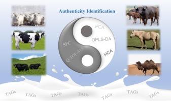 Authenticity of domestic animal milk: An identification strategy by supercritical fluid chromatography quadruple time-of-flight mass spectrometry