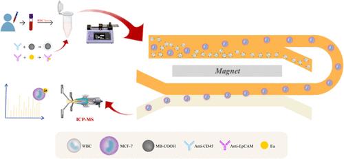 Facile Cascaded Negative Magnetophoresis Chip Combined with ICP–MS for Efficient Sorting and Online Detection of Circulating Tumor Cells