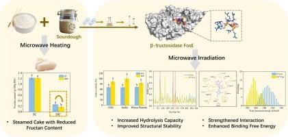 Microwave irradiation benefits fructan degradation in sourdough steamed cake by tunning the β-fructosidase FosE-substrate interaction