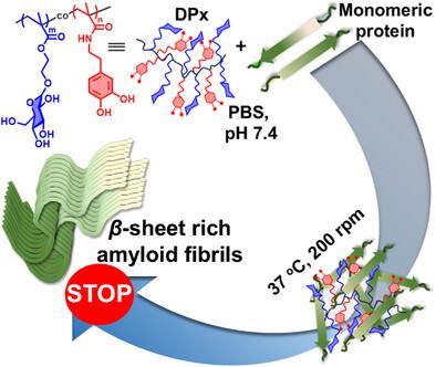 Inhibition of Insulin Amyloid Fibrillogenesis Using Antioxidant Copolymers with Dopamine Pendants