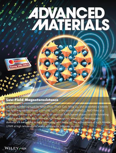 Observation of Large Low-Field Magnetoresistance in Layered (NdNiO3)n:NdO Films at High Temperatures (Adv. Mater. 11/2025)