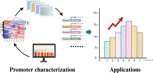 Transcriptome-Based Mining of the Strong Promoters for Hyperproduction of Gibberellin GA3 in Fusarium fujikuroi