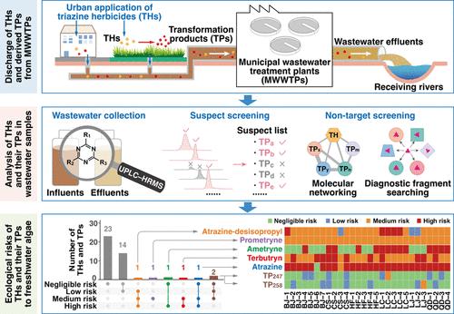 Unraveling the Composition Profile and Ecological Risk of Triazine Herbicides and Their Transformation Products in Urban Sewage Discharge