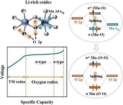 Operando Magnetism on Oxygen Redox Process in Li-Rich Cathodes