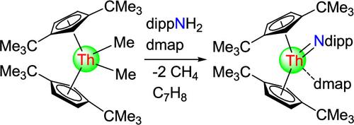 Lewis Base Supported Terminal Thorium Imido Metallocene [η5-1,3-(Me3C)2C5H3]2Th(═Ndipp)(dmap): Its Synthesis, Structure, and Reactivity