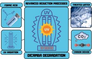 Degradation of dicamba – A persistent herbicide – By combined application of formic acid and UV as an advanced reduction process