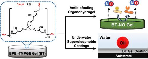 Catalyst-Free Synthesis of a Mechanically Tailorable, Nitric-Oxide-Releasing Organohydrogel and Its Derived Underwater Superoleophobic Coatings.