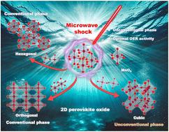 Microwave shock-driven thermal engineering of unconventional cubic 2D LaMnO3 for efficient oxygen evolution