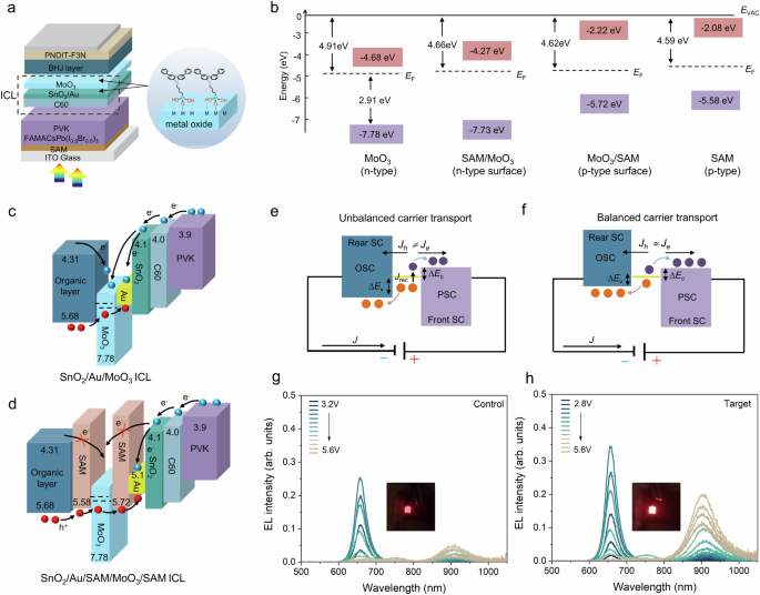 Balancing carrier transport in interconnection layer for efficient perovskite/organic tandem solar cells
