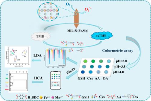 Nanozyme Colorimetric Sensor Array Based on Bimetal–Organic Framework MIL-53 (Fe, Mn) for the Discrimination of Biological Antioxidants
