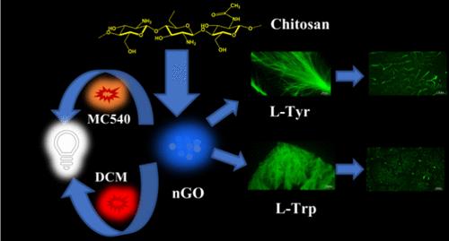 Inhibition and Modulation of the Self-Assembly of Single Amino Acids and Dipeptides in the Presence of Chitosan-Derived Fluorescent Nanographene Oxide: Dye-Based White Light Generation in Micellar Media