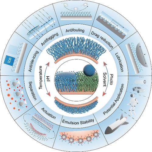 Tuning Surface Functions by Hydrophilic/Hydrophobic Polymer Brushes