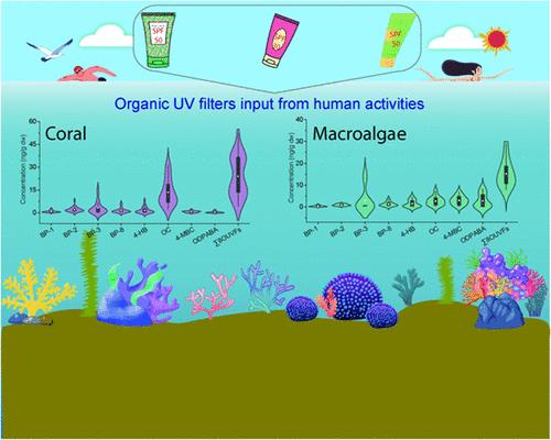 Exploring the Hidden Threat of Organic UV Filters to Corals and Macroalgae in Coral Reef Ecosystem from Luhuitou, Sanya, China