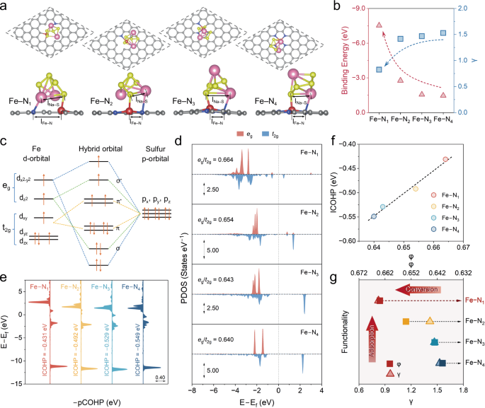 Unsaturation degree of Fe single atom site manipulates polysulfide behavior in sodium-sulfur batteries