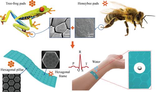 Bionic Wet Adhesive Surface with Micronano Hierarchical Structure for Robust Biosignal Monitoring