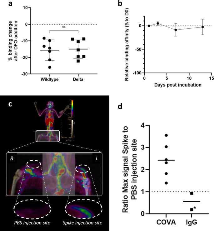Whole-body visualization of SARS-CoV-2 biodistribution in vivo by immunoPET imaging in non-human primates