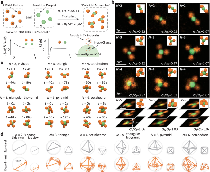 Dynamic and asymmetric colloidal molecules