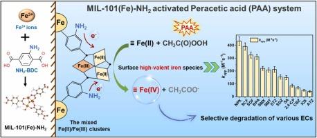 Amino-Functionalized MIL-101(Fe)-NH2 as Efficient Peracetic Acid Activator for Selective Contaminant Degradation: Unraveling the Role of Electron-Donating Ligands in Fe(IV) Generation