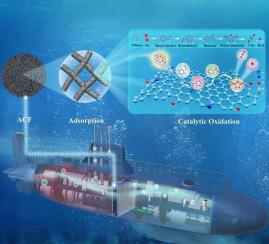 Unraveling the integrated adsorption catalytic mechanism of Pt/PBO-ACF catalysts for toluene: Enhancing the catalytic performance by regulating the pore structure of support